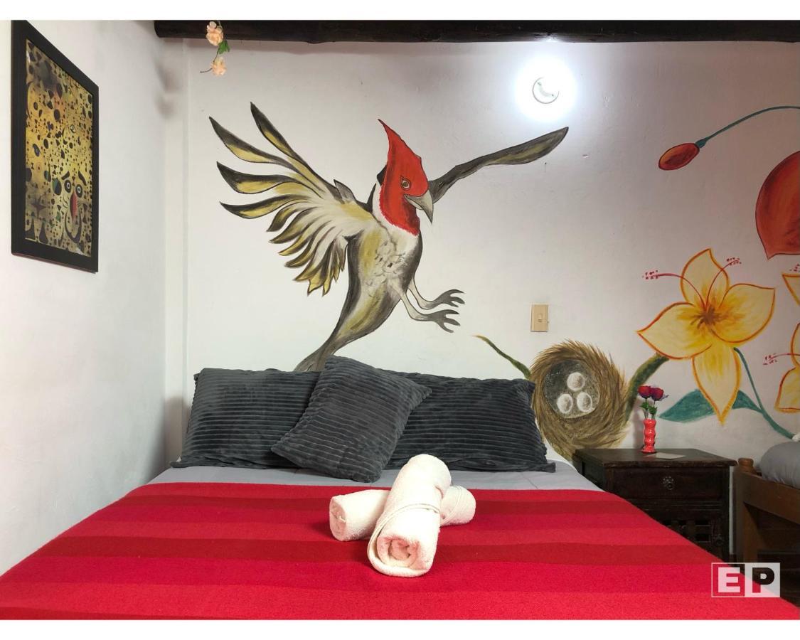Beija Flor Hostel ビージャ・デ・レイバ エクステリア 写真