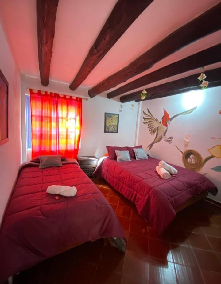 Beija Flor Hostel ビージャ・デ・レイバ エクステリア 写真