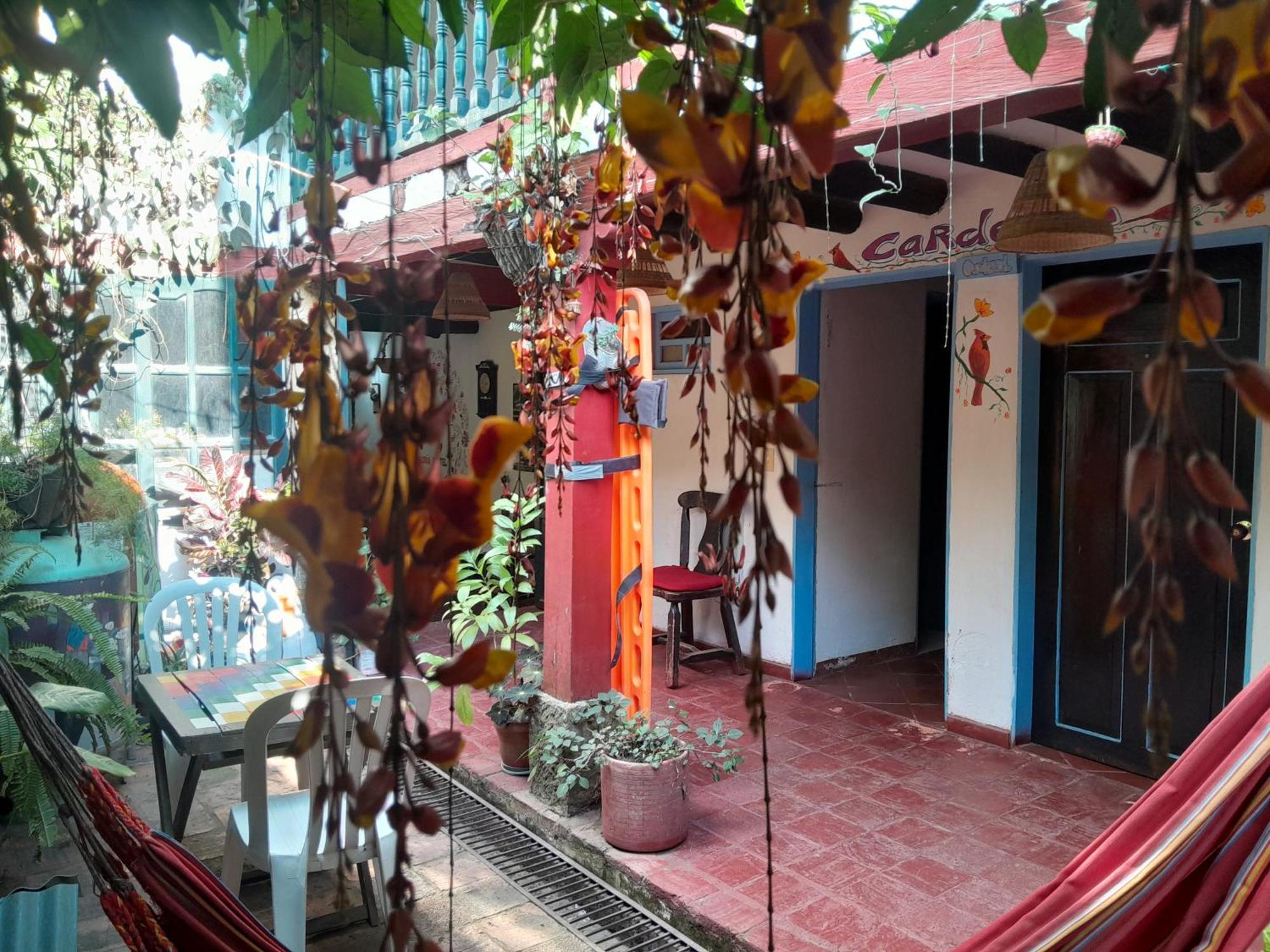 Beija Flor Hostel ビージャ・デ・レイバ エクステリア 写真